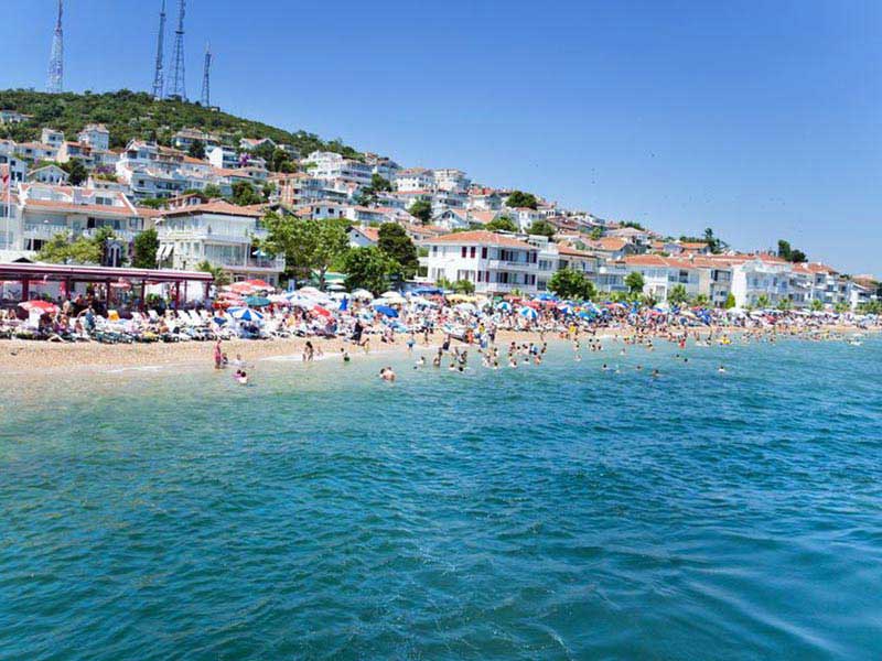 (Turkish) Doğası ve Tarihiyle Avşa Adası
